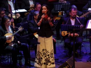 Concierto Violeta_1_2017